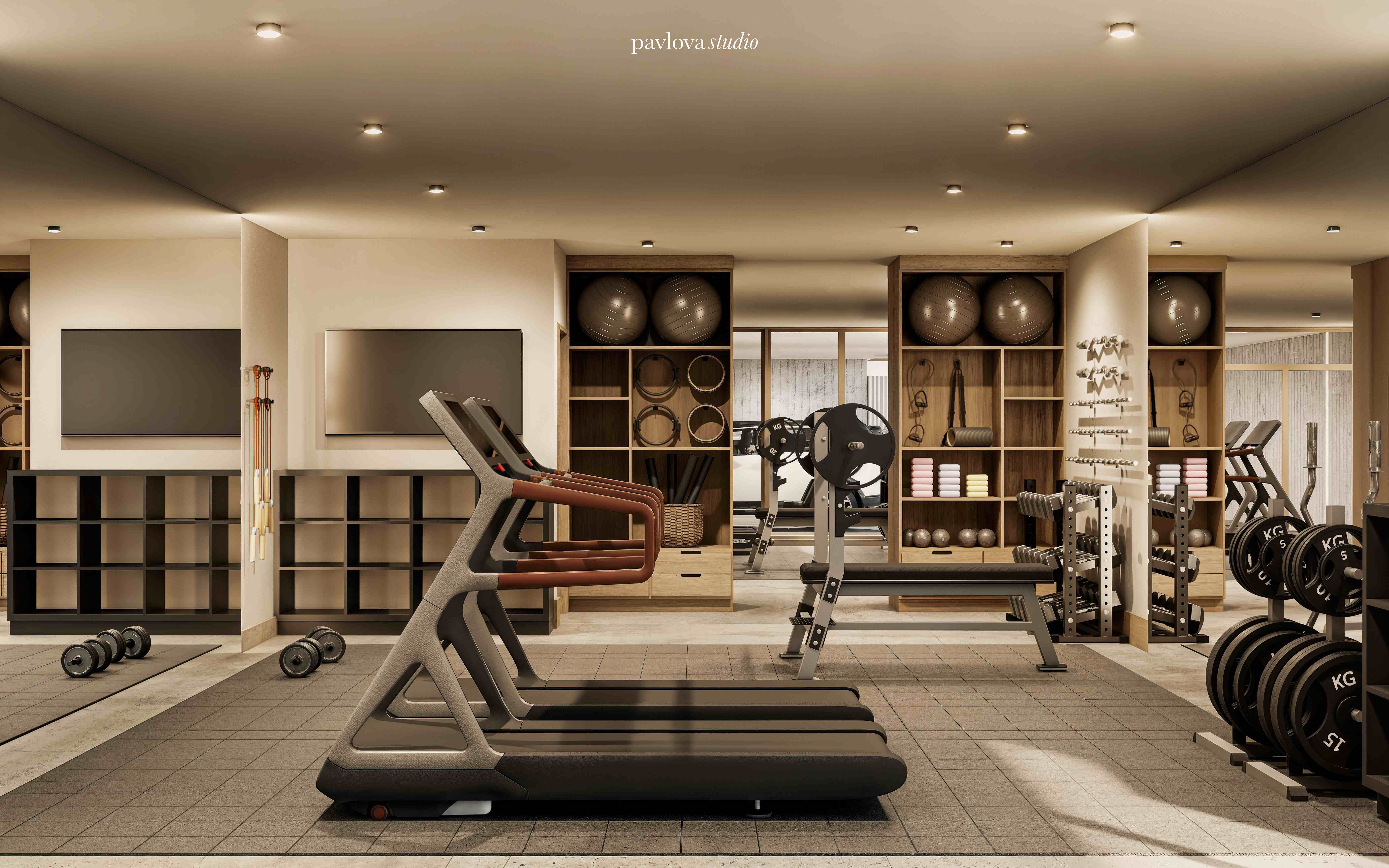Gimnasio Premium